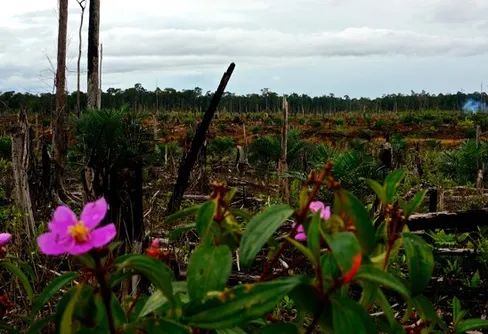 Naturen har inga landgränser!