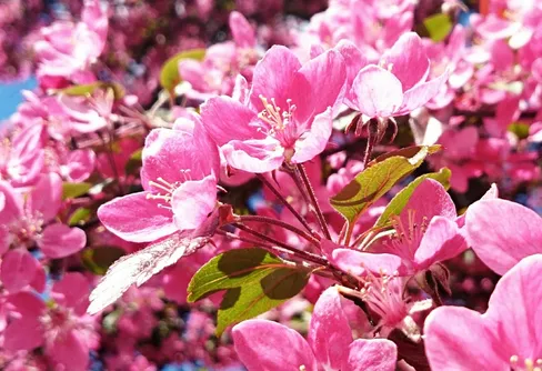 Pink Power all over the place!!