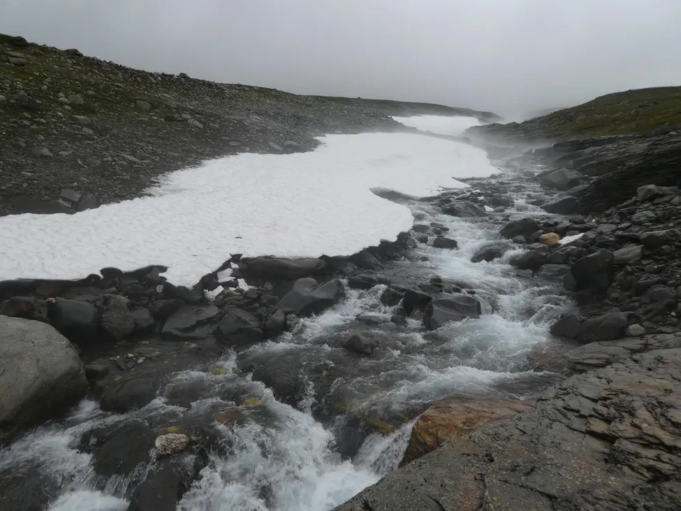 Klicka för att förstora