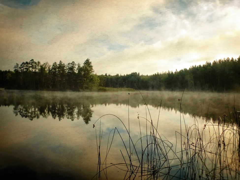 Klicka för att förstora