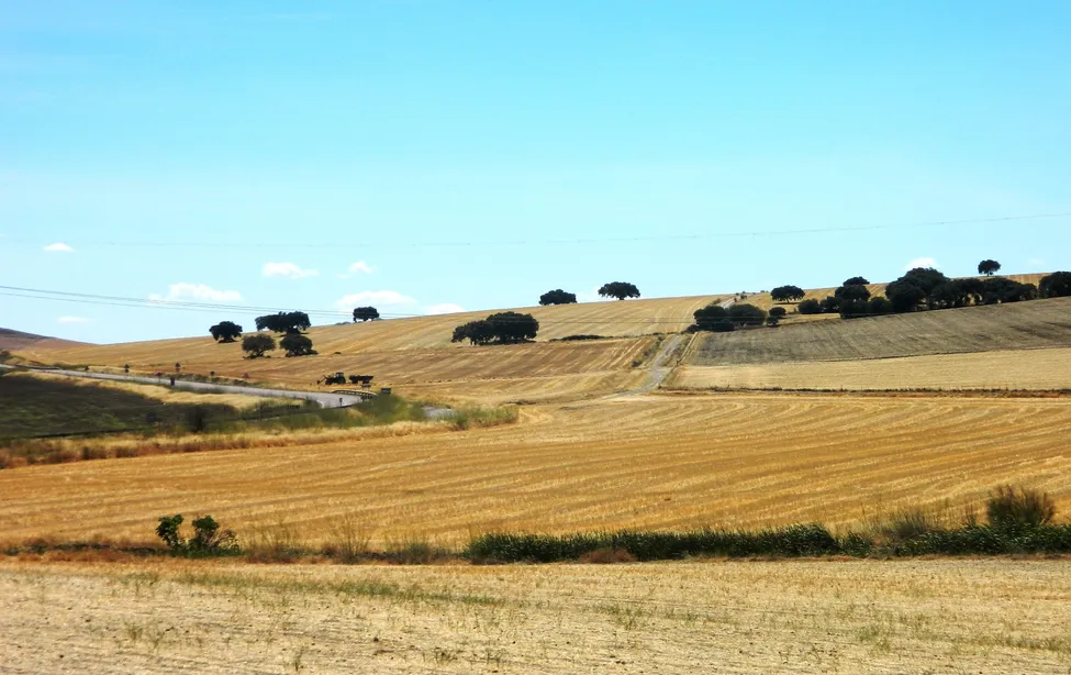 Klicka för att förstora