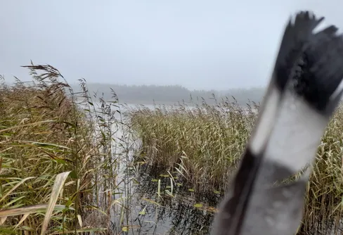 Byträsk, Geta, Åland