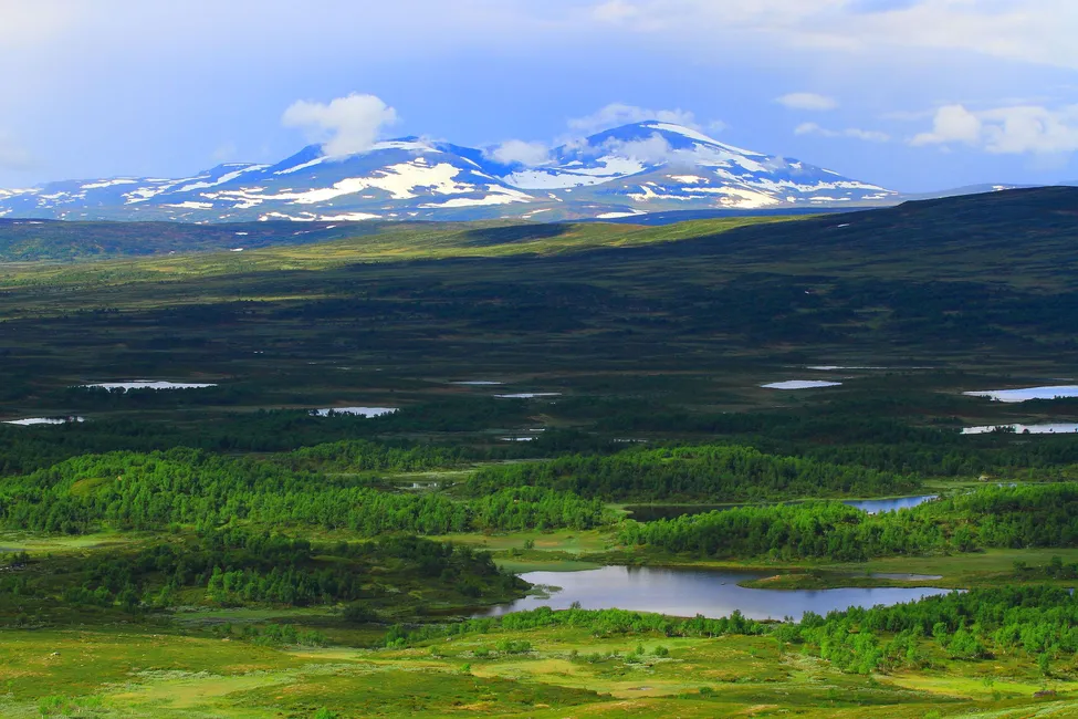 Klicka för att förstora