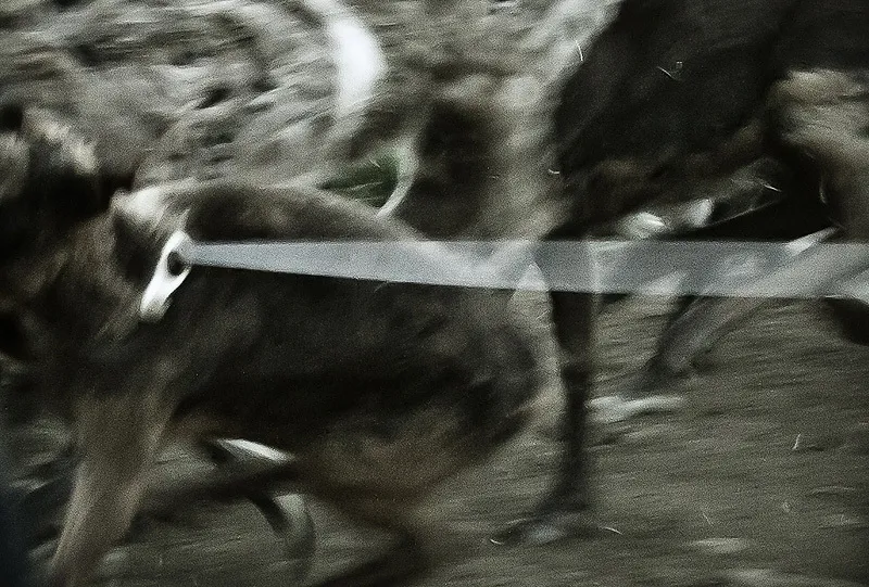 Klicka för att förstora