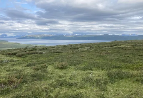 SOLo-vandring 2021 i Sarek och Padjelanta, del 3 – inlägget som inte blev