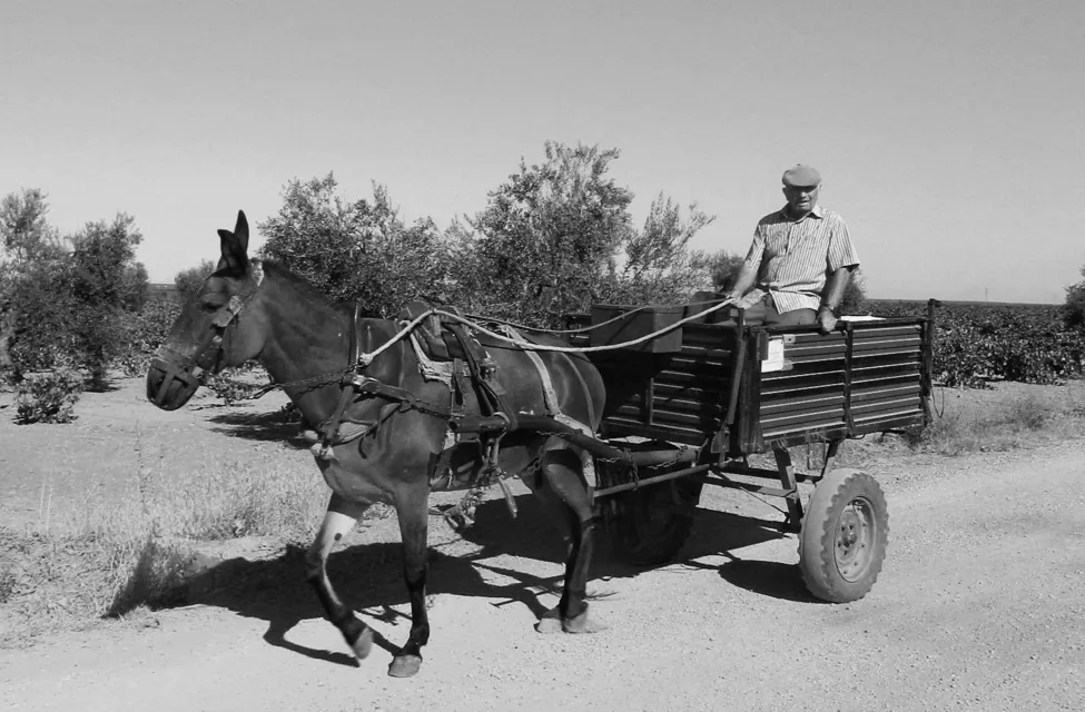 Klicka för att förstora
