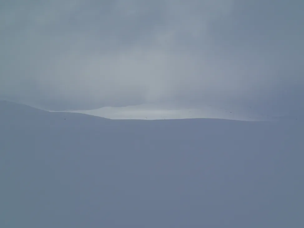 Klicka för att förstora