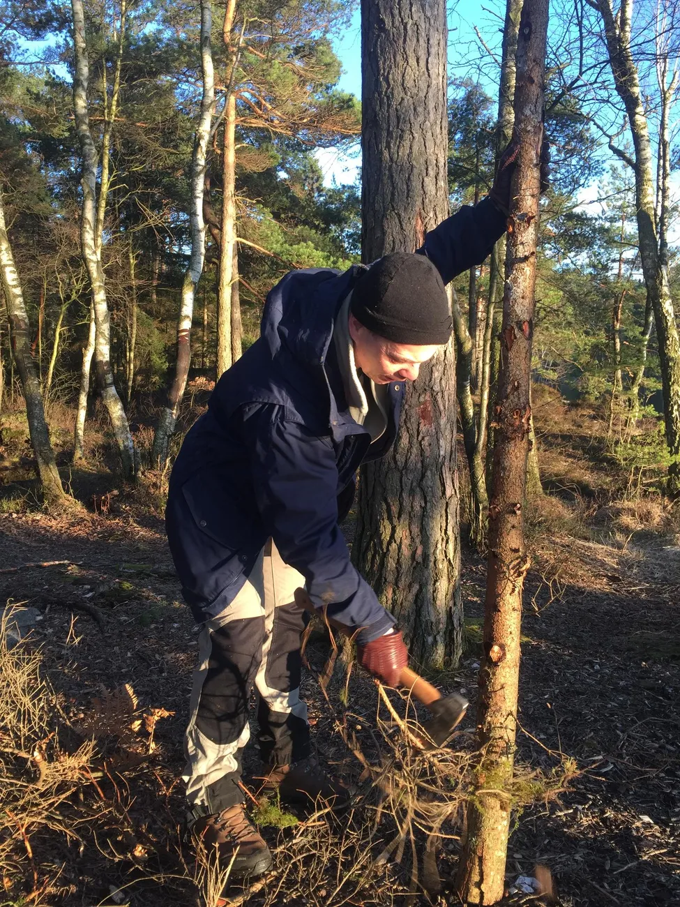 Klicka för att förstora