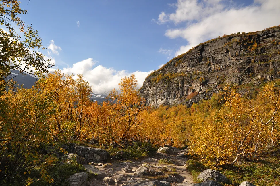 Klicka för att förstora