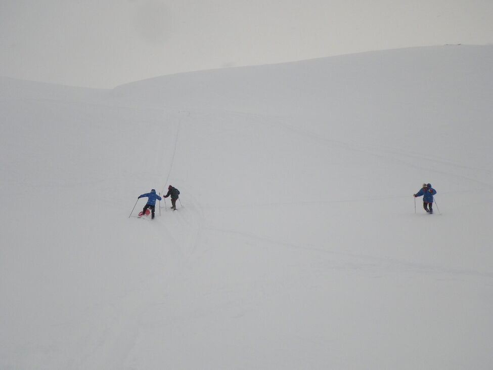 Klicka för att förstora