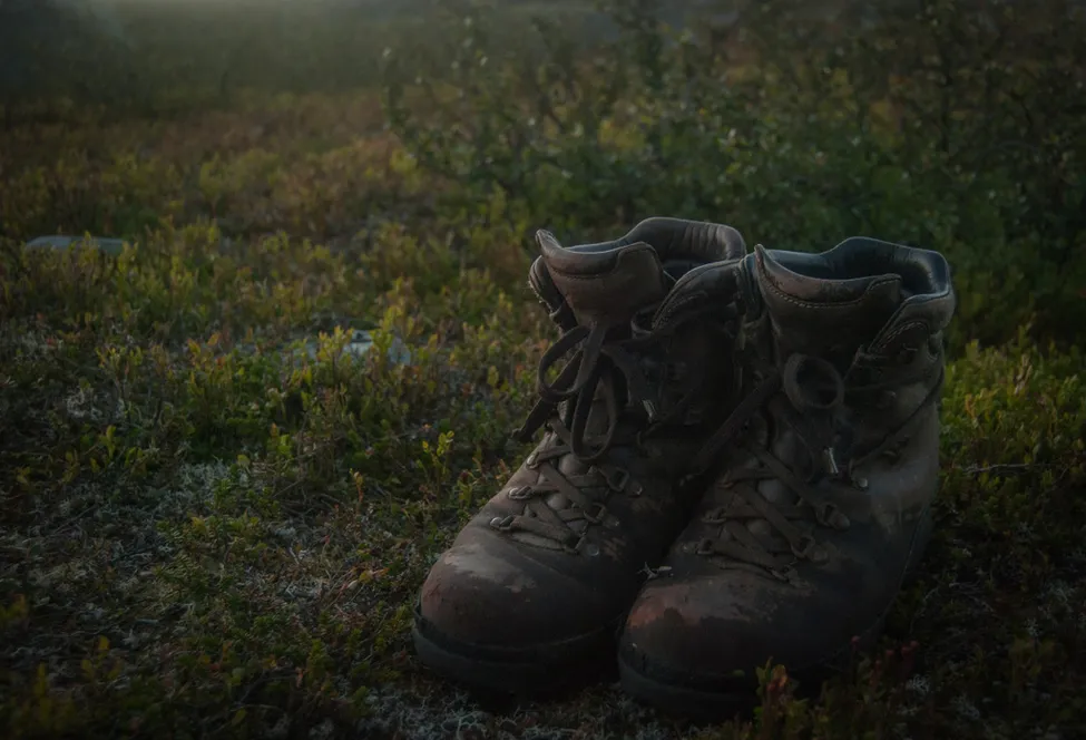 Klicka för att förstora