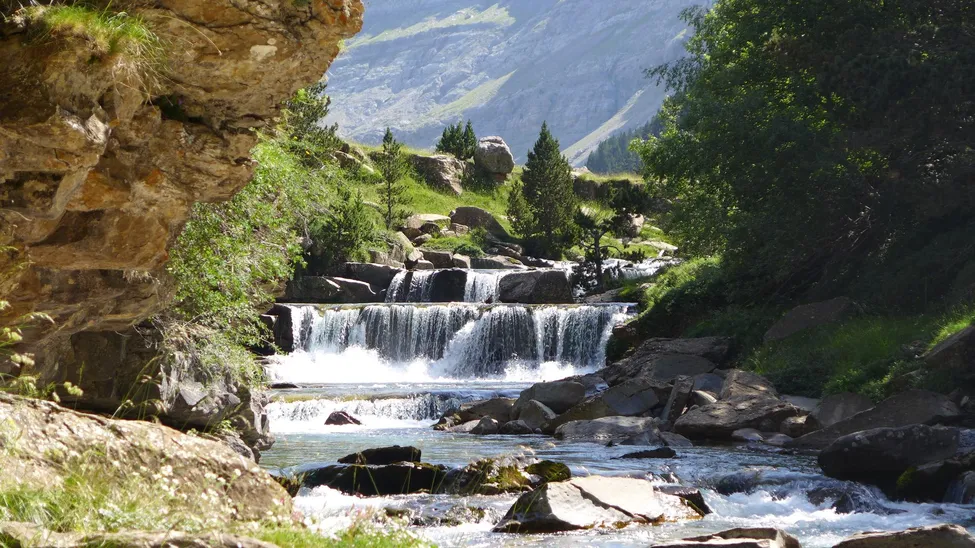 Klicka för att förstora