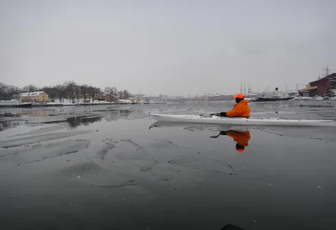 Klubb Fischer vs kung Bore