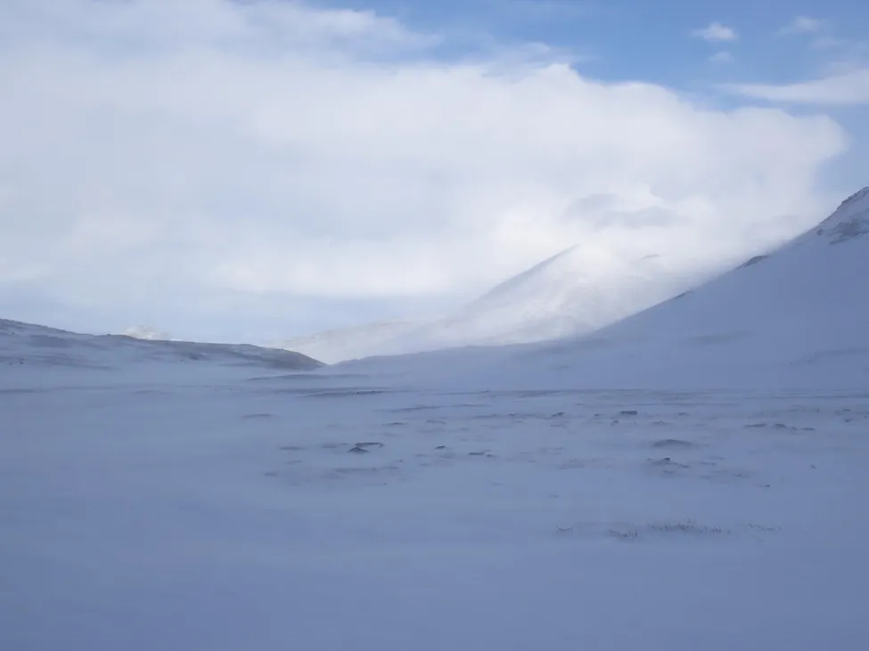 Klicka för att förstora