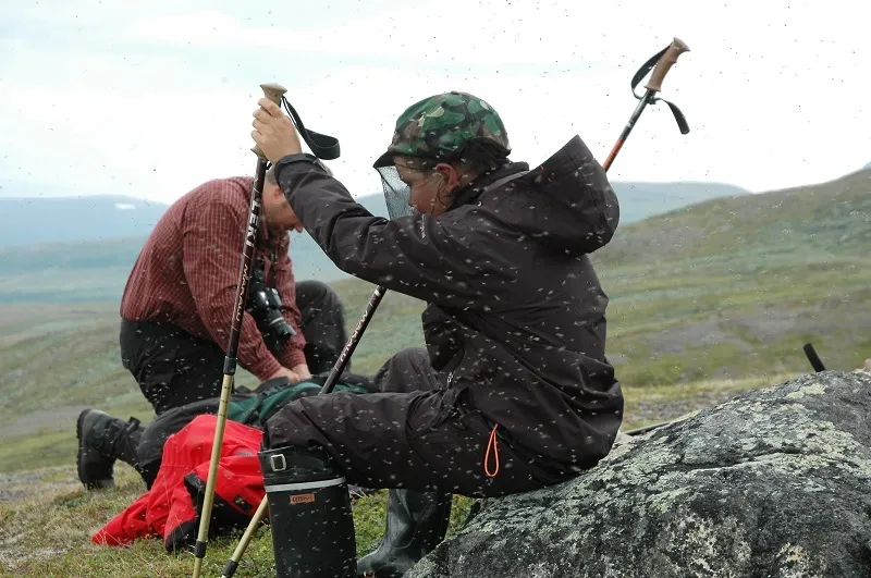 Klicka för att förstora