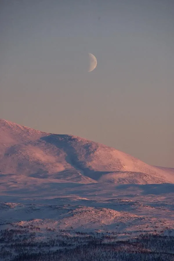 Klicka för att förstora
