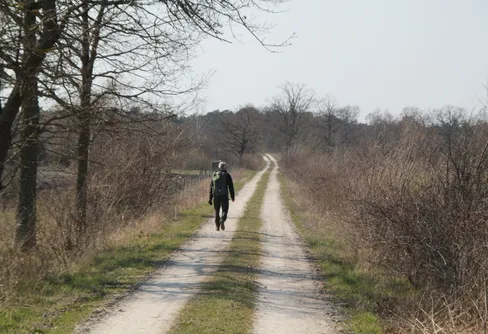 Vårvandring på Fårö