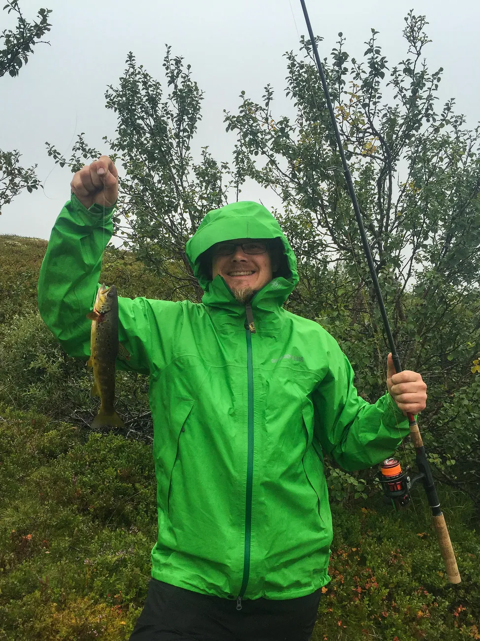 Klicka för att förstora