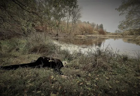 Halloweenvandring på Skåneleden