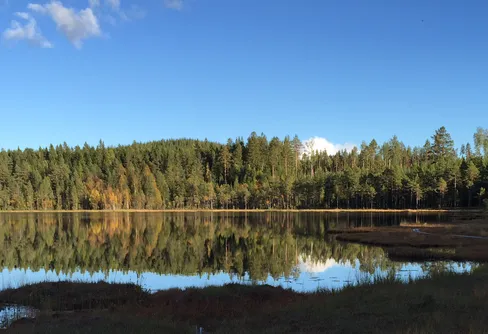 Naturens roll i våra liv