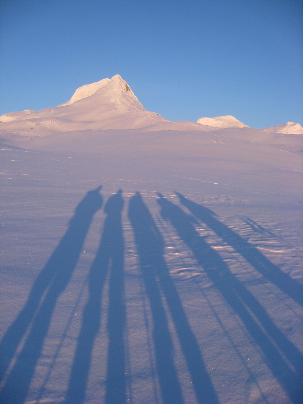 Klicka för att förstora