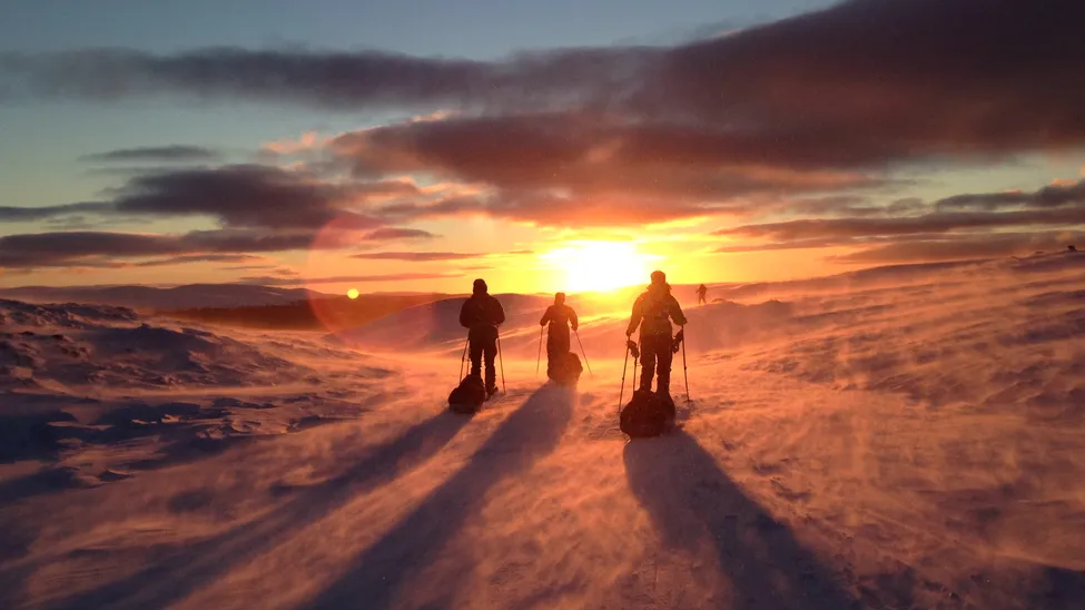Klicka för att förstora