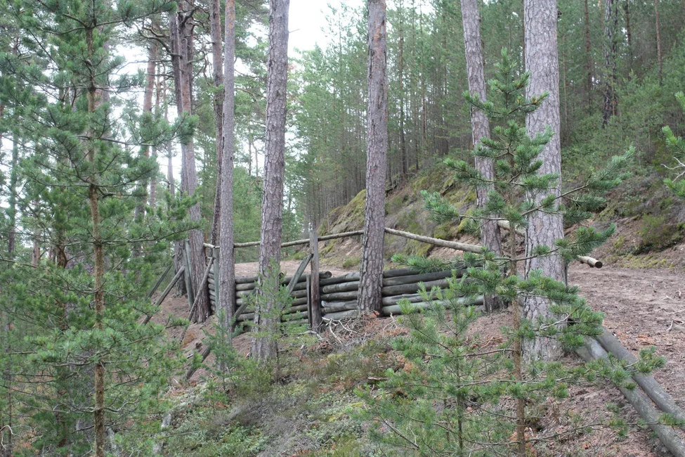 Klicka för att förstora