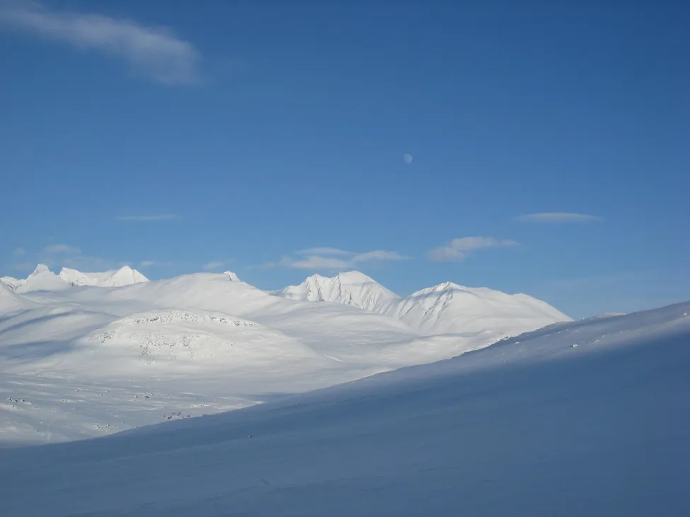 Klicka för att förstora