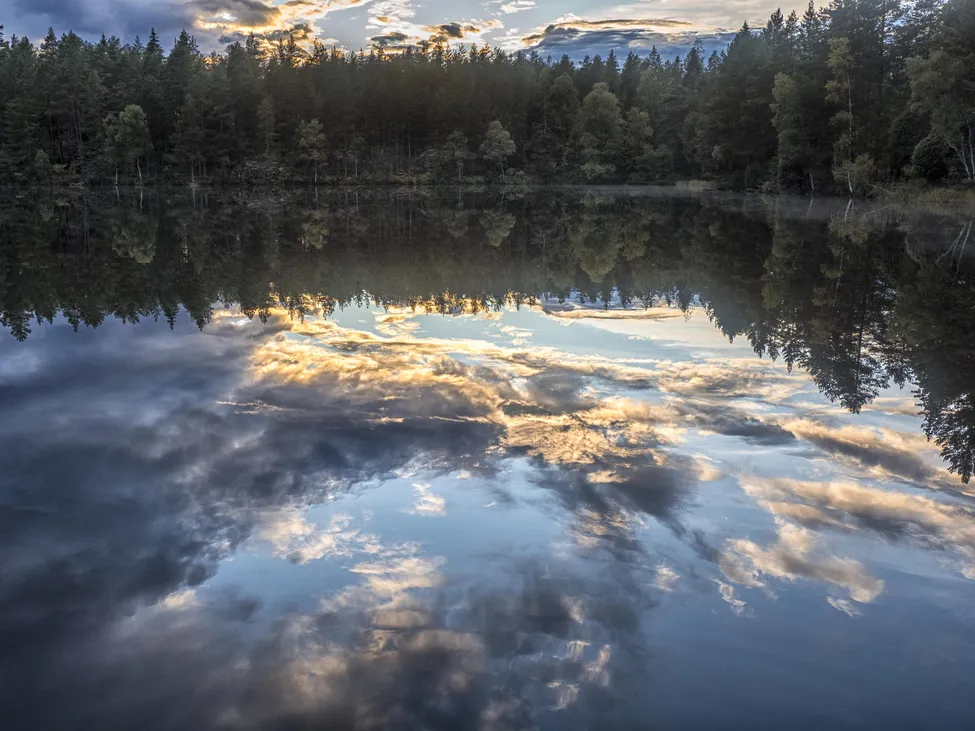 Klicka för att förstora
