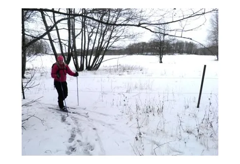 Skitföre över stock och sten - Men det gör livet lite äventyrligare