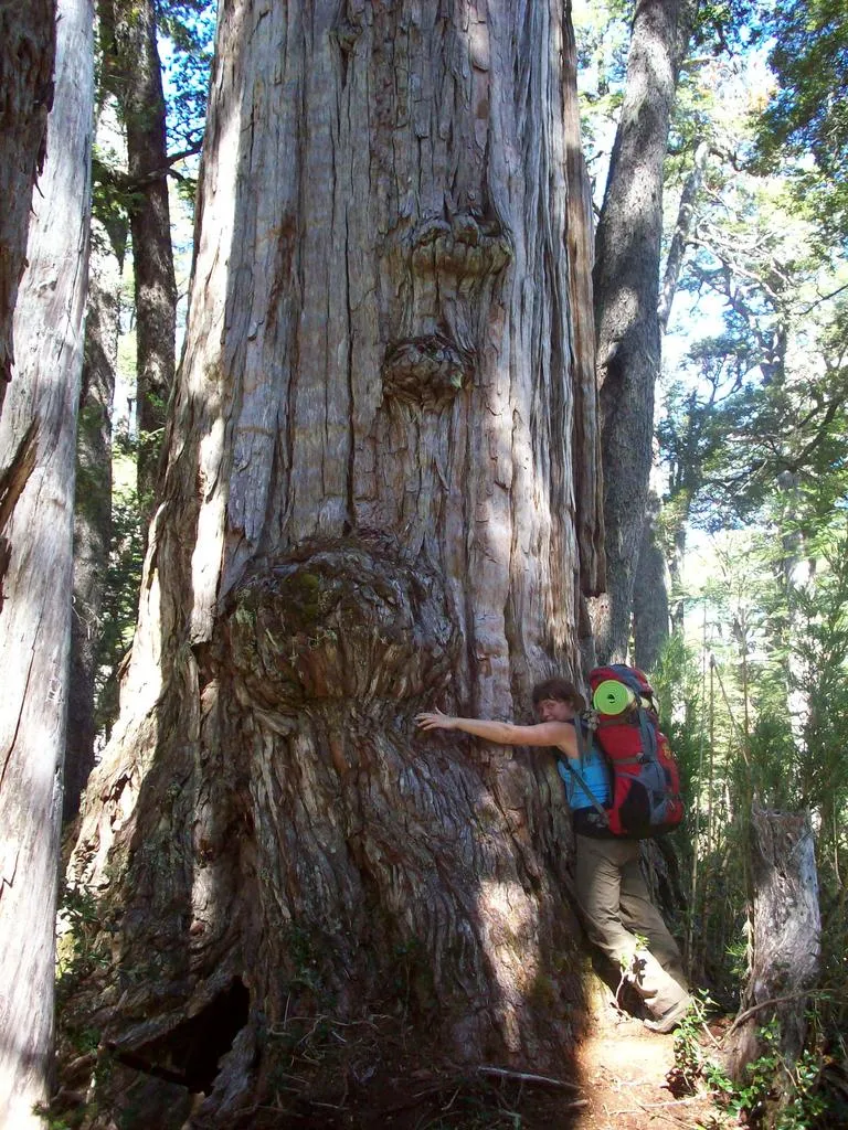 Klicka för att förstora