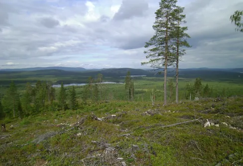 Promenad på kåskatsberget