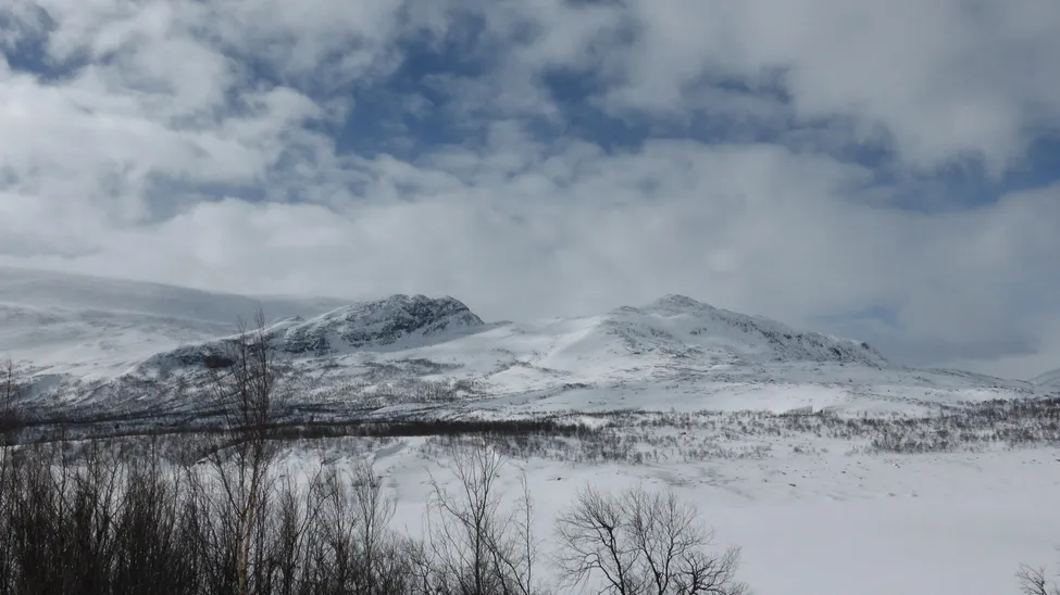 Klicka för att förstora