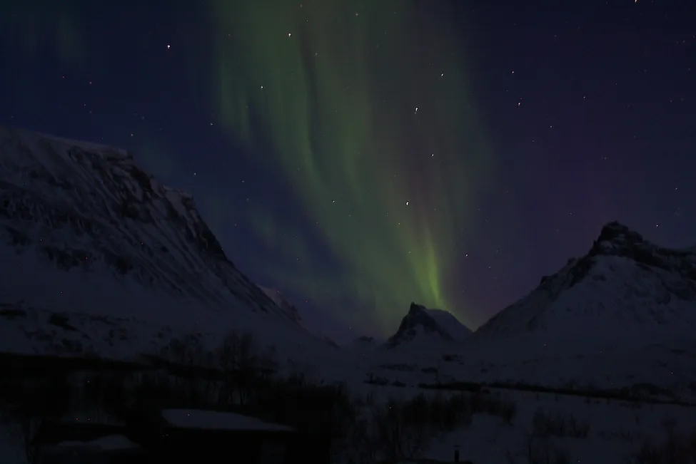 Klicka för att förstora