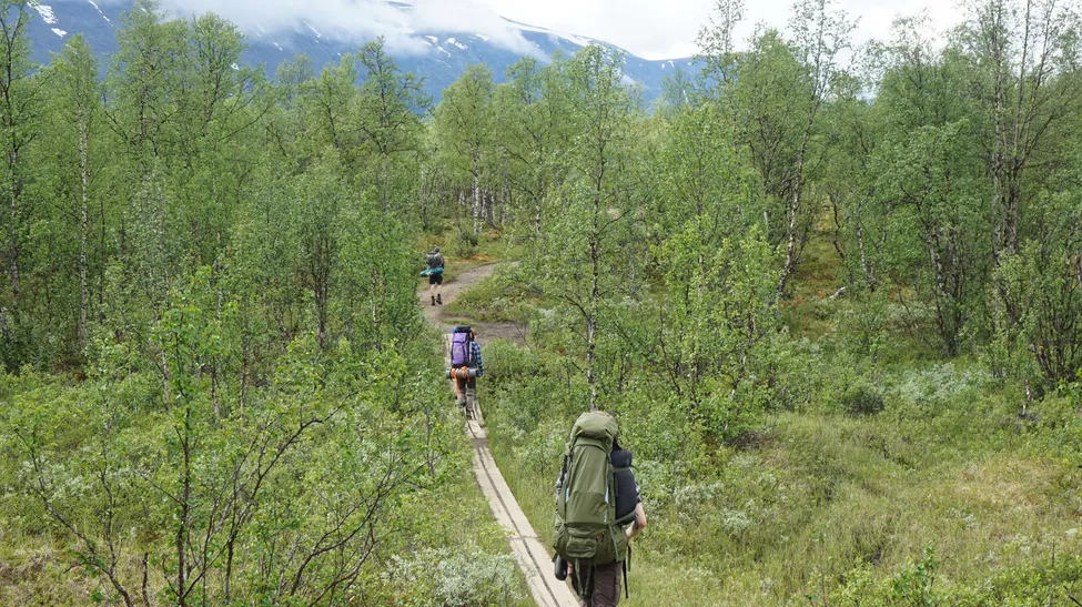 Klicka för att förstora