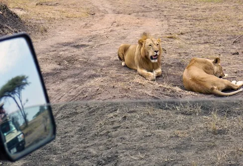 Tankar från en safari i Östafrika