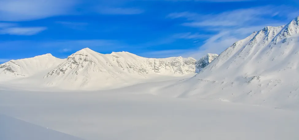Klicka för att förstora