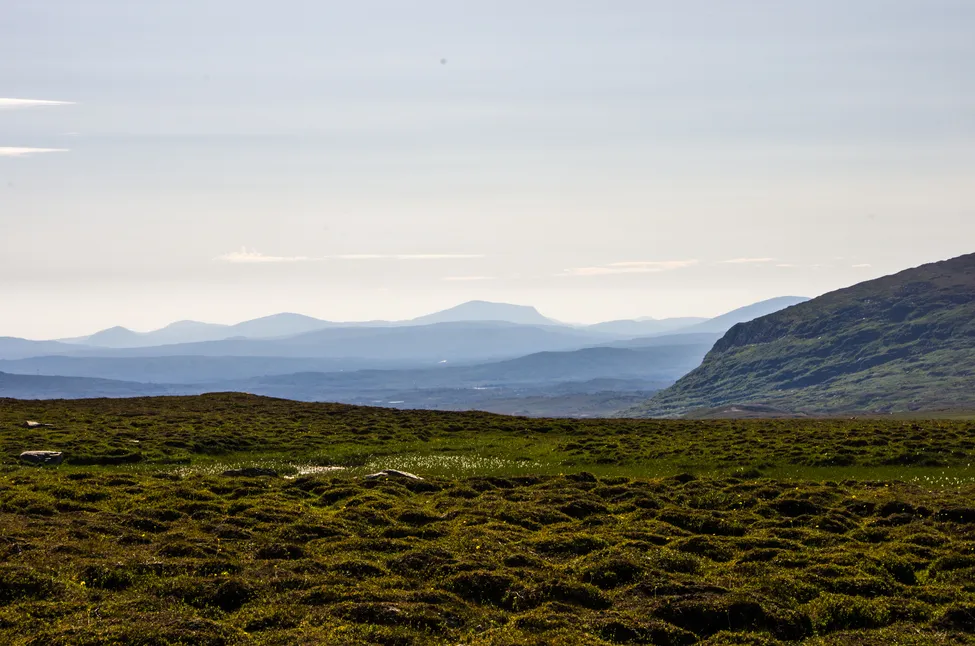 Klicka för att förstora