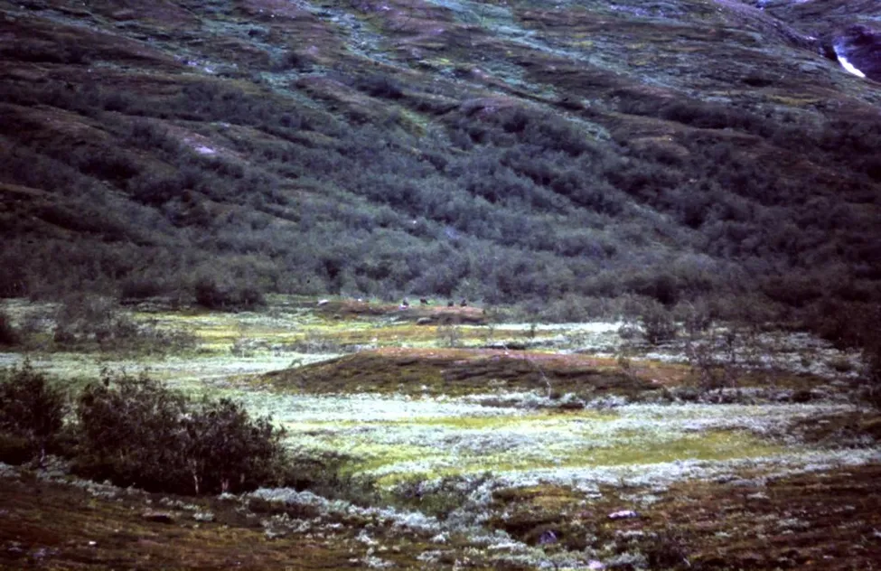 Klicka för att förstora