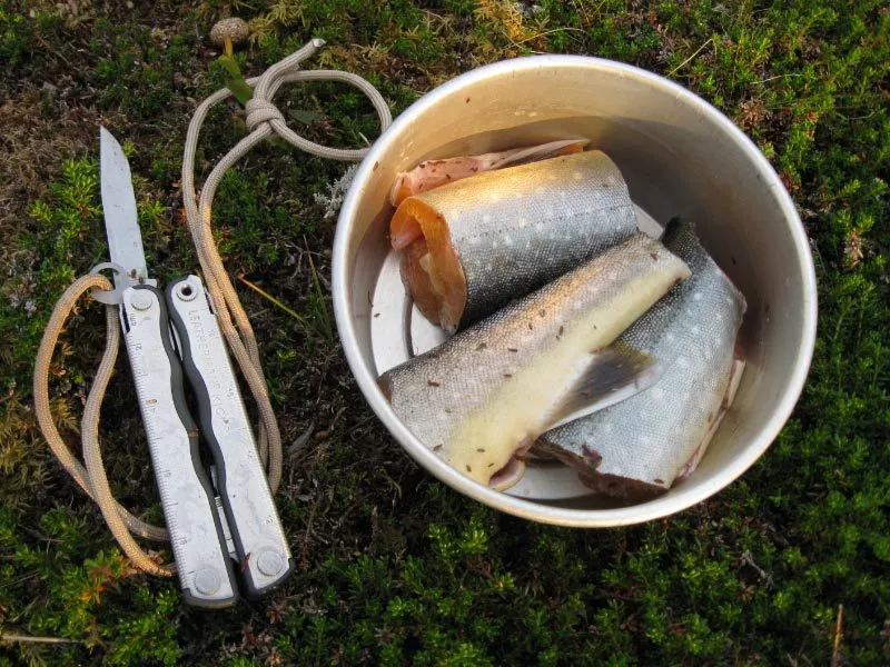 Klicka för att förstora