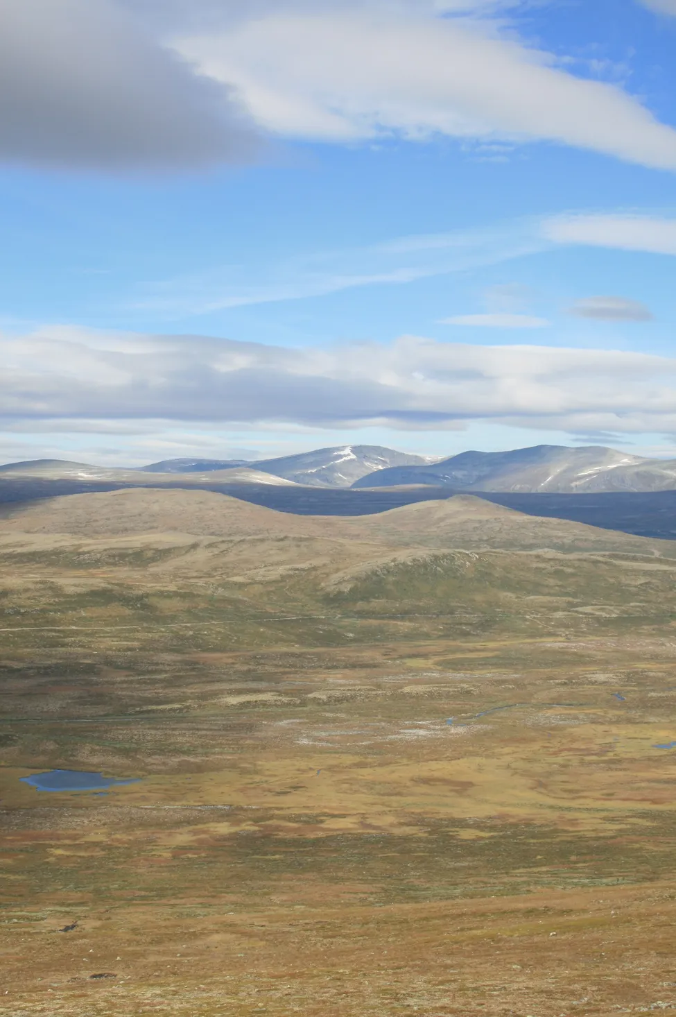 Klicka för att förstora