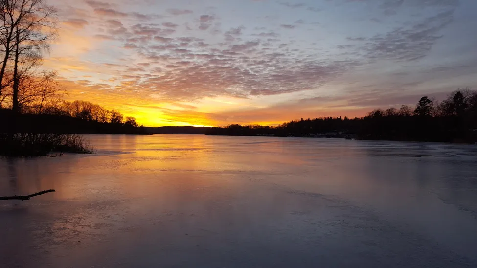 Klicka för att förstora