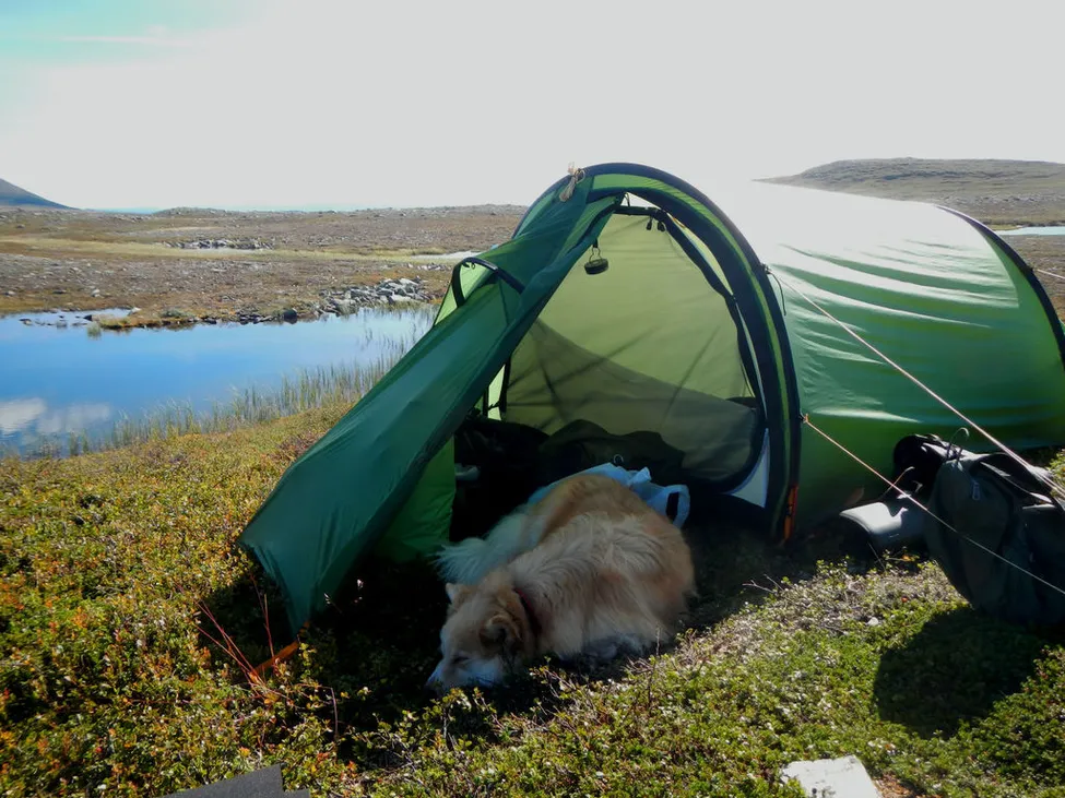 Klicka för att förstora