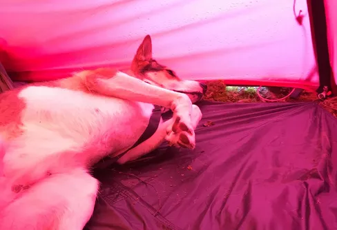 Hur lång är en dagsetapp på kungsleden?