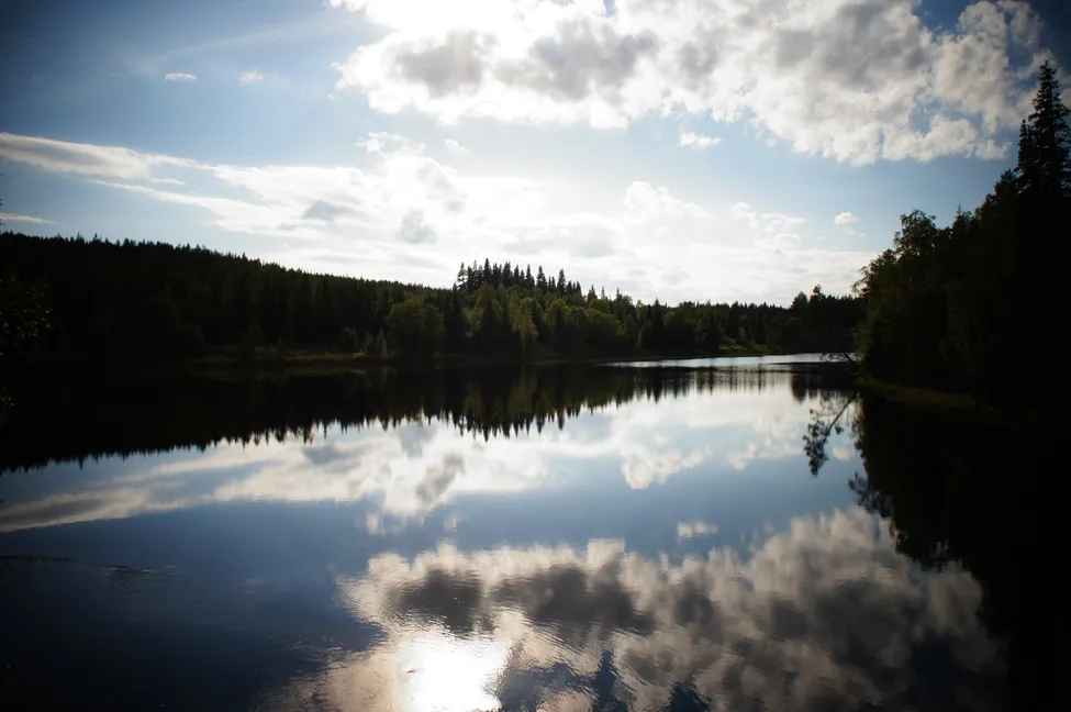 Klicka för att förstora