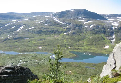 Kors, tvärs och dubbel Frippe - Björkliden 2020