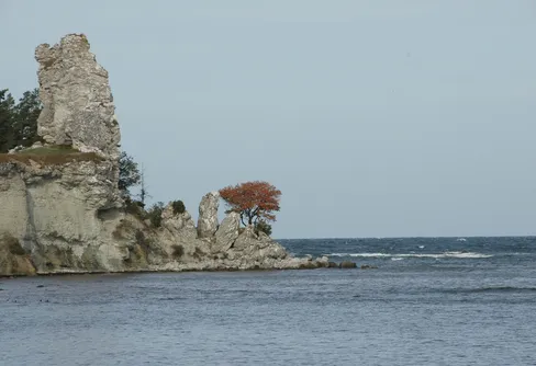 Enkät från SMHI om ny Hav- och Kustväderapp