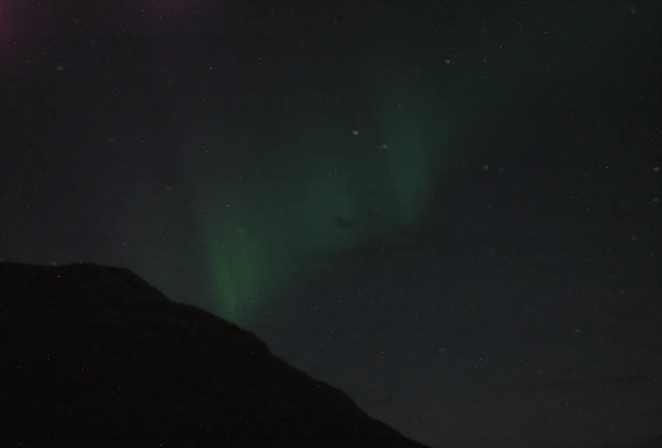 Klicka för att förstora