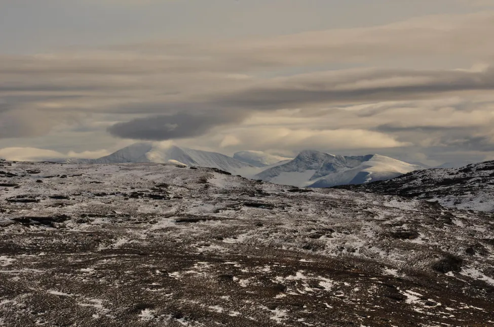 Klicka för att förstora