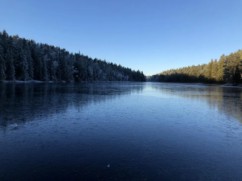 Klicka för att förstora